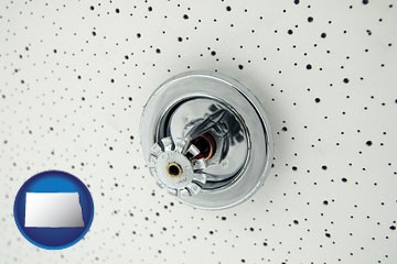 a fire sprinkler head mounted in an acoustic tile ceiling - with North Dakota icon