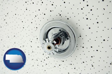 a fire sprinkler head mounted in an acoustic tile ceiling - with Nebraska icon